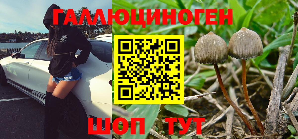 Нижневартовск  Галлюциногенные грибы Cubensis  Вход с VPN  Галлюциногенные грибы Cubensis 